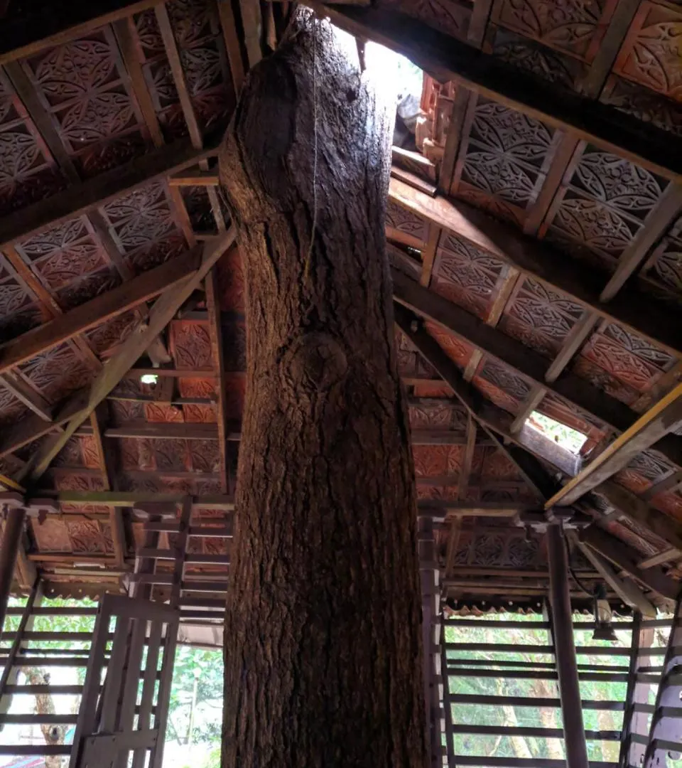 Accommodatie bij particulieren Arakkal Heritage Mararikulam